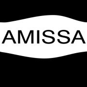 (c) Amissa-unternehmensberatung.de